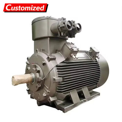 Goede prijs. Op maat gemaakte explosiebestendige driefasige asynchrone motor met een frequentie van 50 Hz en een vermogen van 22 kW voor industriële toepassingen online